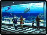 Stage 78 - Aquarium